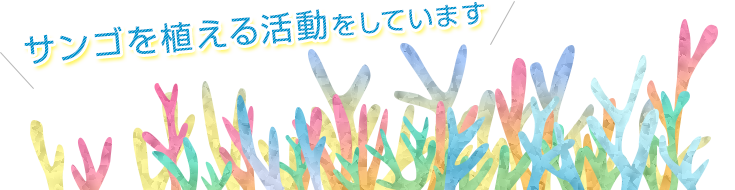 サンゴを植える活動をしています